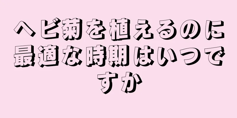 ヘビ菊を植えるのに最適な時期はいつですか