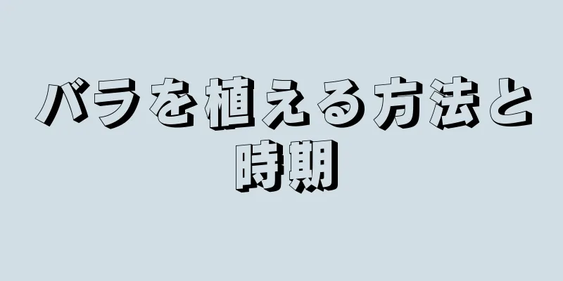 バラを植える方法と時期
