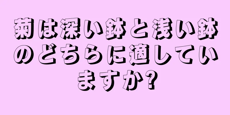 菊は深い鉢と浅い鉢のどちらに適していますか?