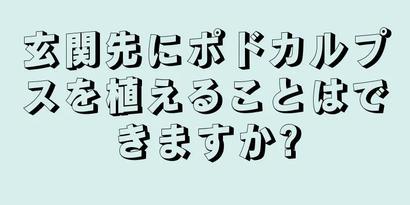玄関先にポドカルプスを植えることはできますか?