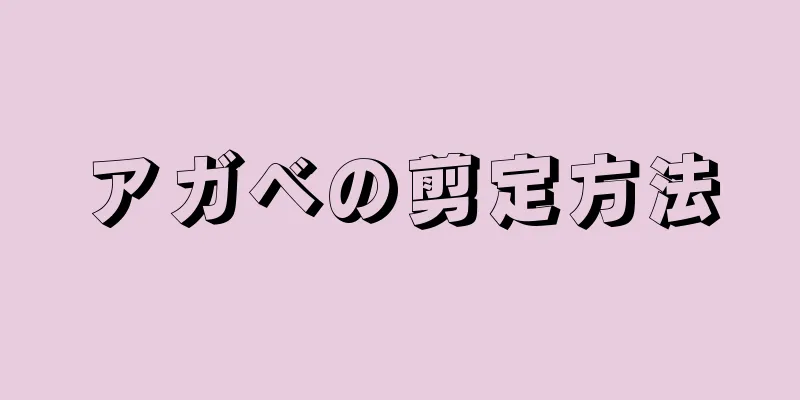 アガベの剪定方法
