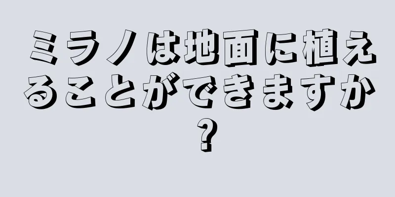 ミラノは地面に植えることができますか？