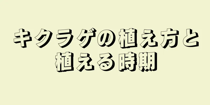キクラゲの植え方と植える時期