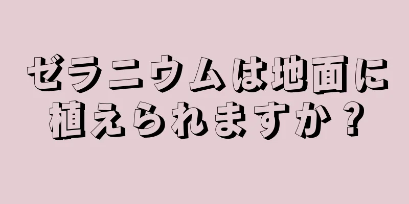 ゼラニウムは地面に植えられますか？