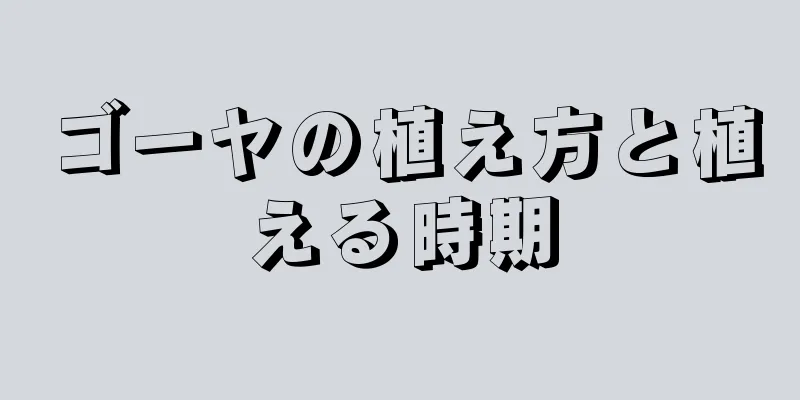 ゴーヤの植え方と植える時期