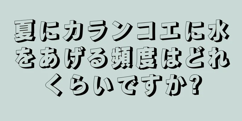 夏にカランコエに水をあげる頻度はどれくらいですか?