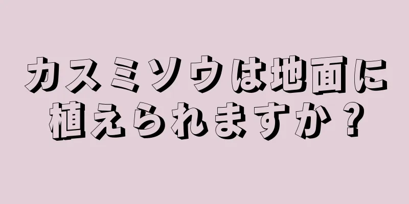 カスミソウは地面に植えられますか？