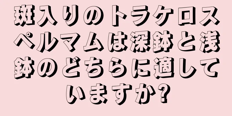 斑入りのトラケロスペルマムは深鉢と浅鉢のどちらに適していますか?