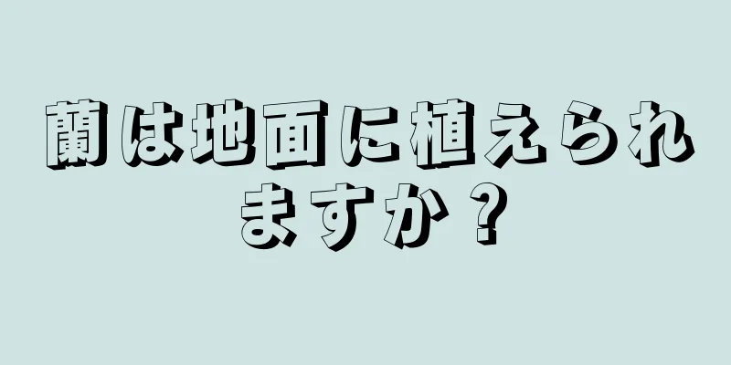 蘭は地面に植えられますか？