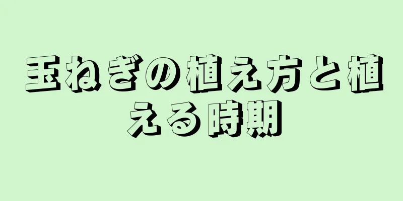 玉ねぎの植え方と植える時期
