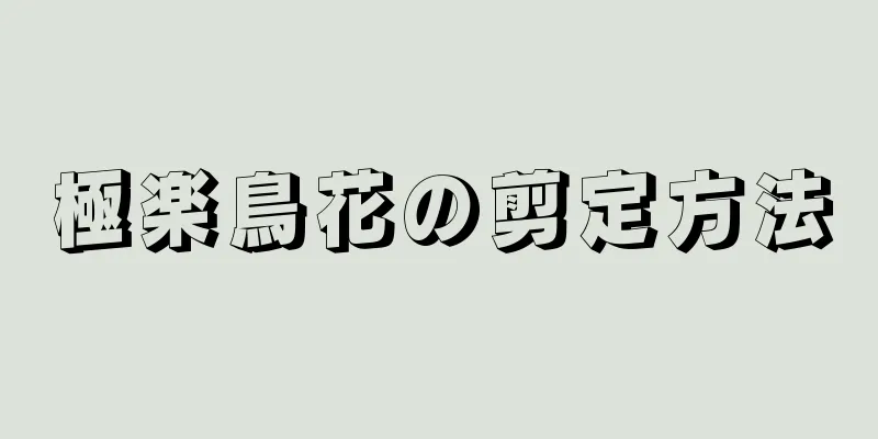 極楽鳥花の剪定方法