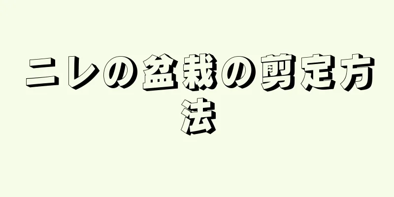 ニレの盆栽の剪定方法