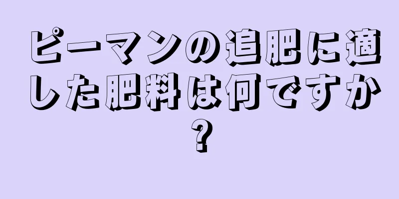 ピーマンの追肥に適した肥料は何ですか?