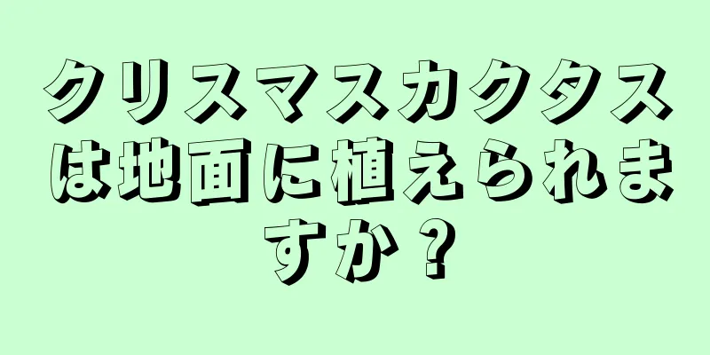 クリスマスカクタスは地面に植えられますか？