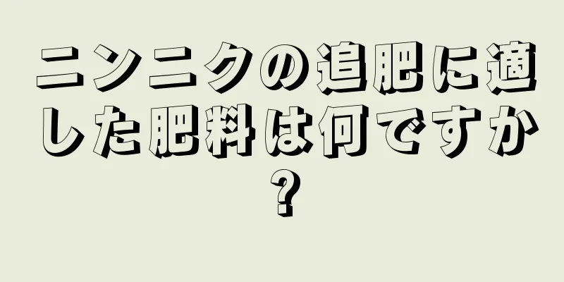 ニンニクの追肥に適した肥料は何ですか?