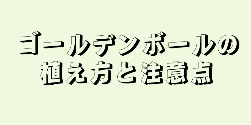 ゴールデンボールの植え方と注意点