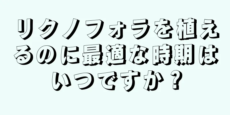 リクノフォラを植えるのに最適な時期はいつですか？