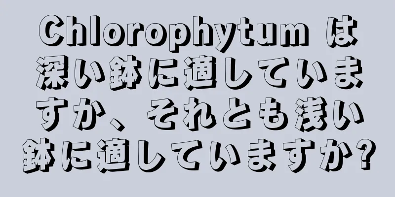 Chlorophytum は深い鉢に適していますか、それとも浅い鉢に適していますか?