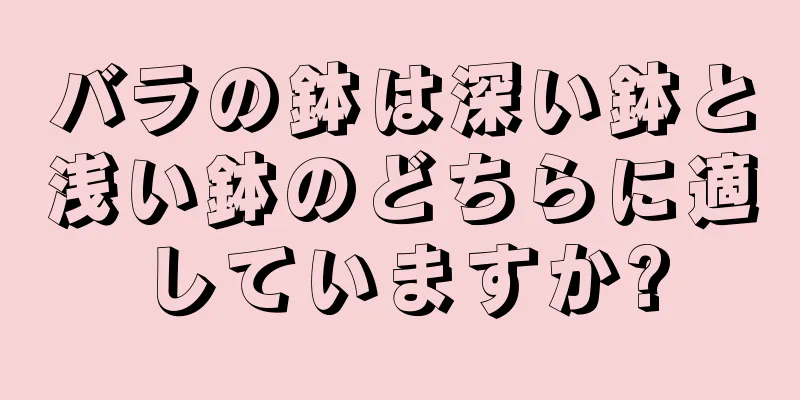 バラの鉢は深い鉢と浅い鉢のどちらに適していますか?