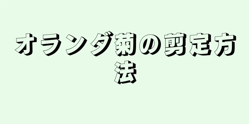 オランダ菊の剪定方法
