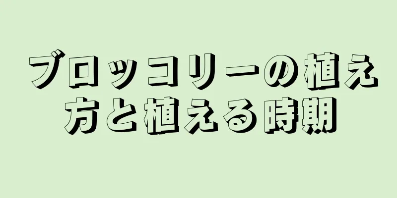 ブロッコリーの植え方と植える時期