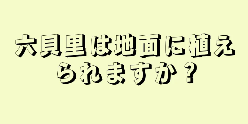 六貝里は地面に植えられますか？