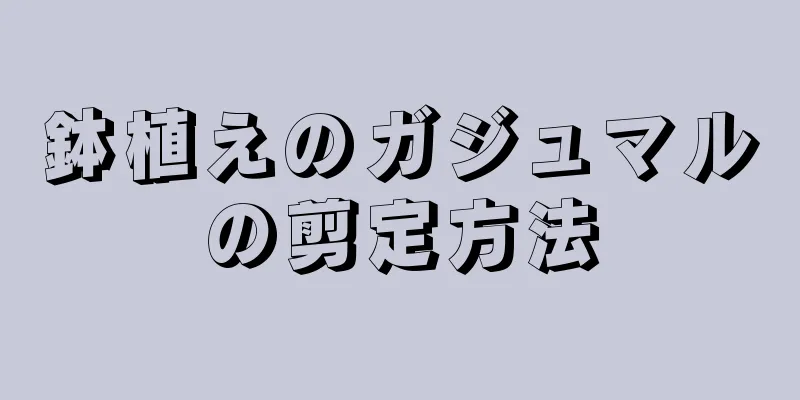 鉢植えのガジュマルの剪定方法