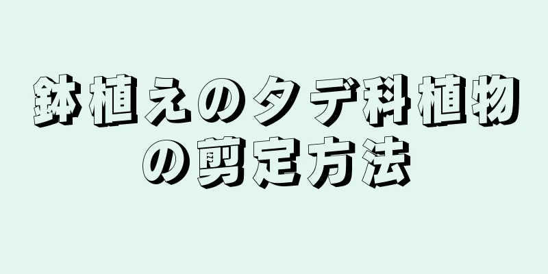 鉢植えのタデ科植物の剪定方法