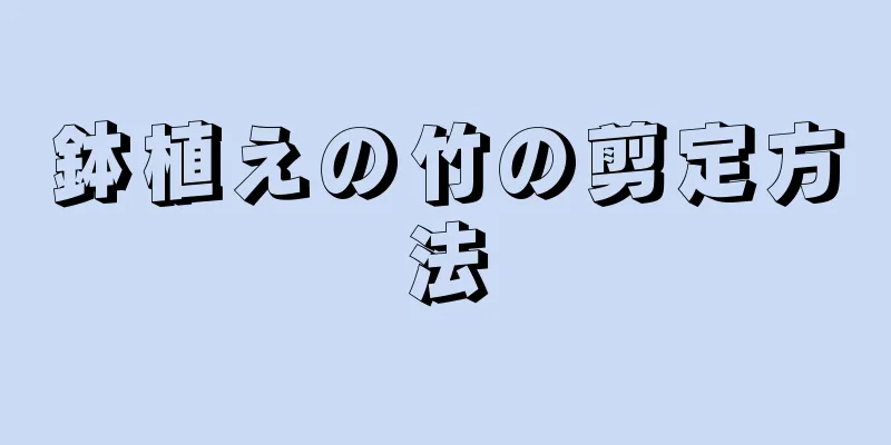 鉢植えの竹の剪定方法