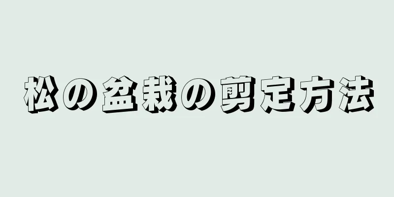 松の盆栽の剪定方法