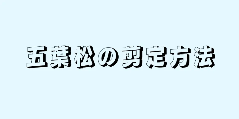 五葉松の剪定方法