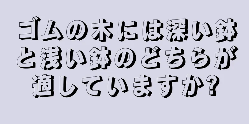 ゴムの木には深い鉢と浅い鉢のどちらが適していますか?