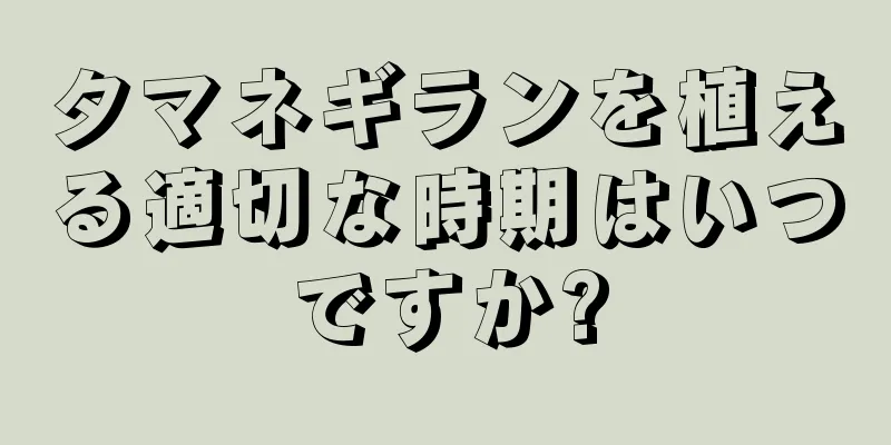タマネギランを植える適切な時期はいつですか?