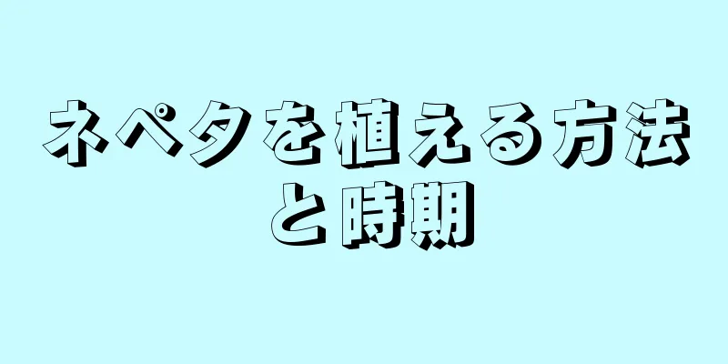 ネペタを植える方法と時期