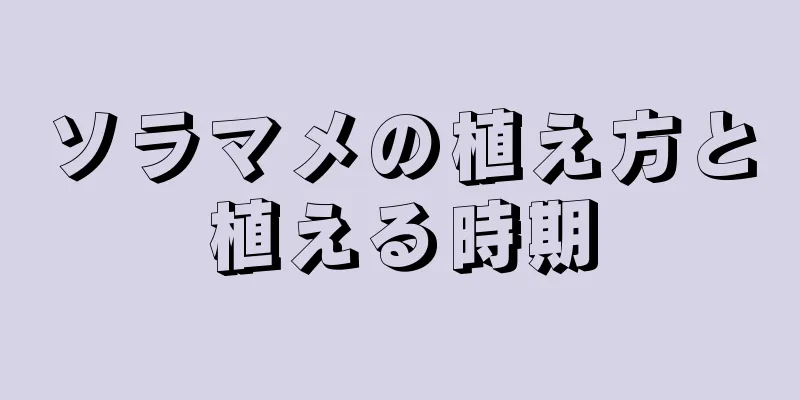 ソラマメの植え方と植える時期