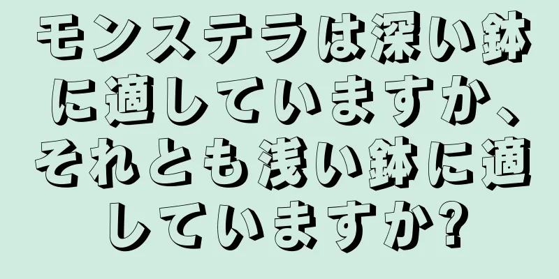 モンステラは深い鉢に適していますか、それとも浅い鉢に適していますか?