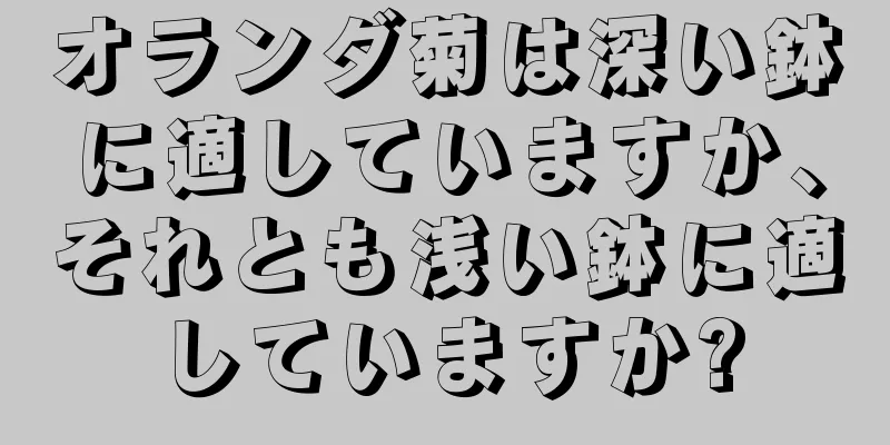 オランダ菊は深い鉢に適していますか、それとも浅い鉢に適していますか?