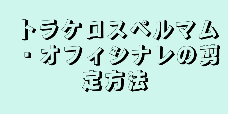 トラケロスペルマム・オフィシナレの剪定方法