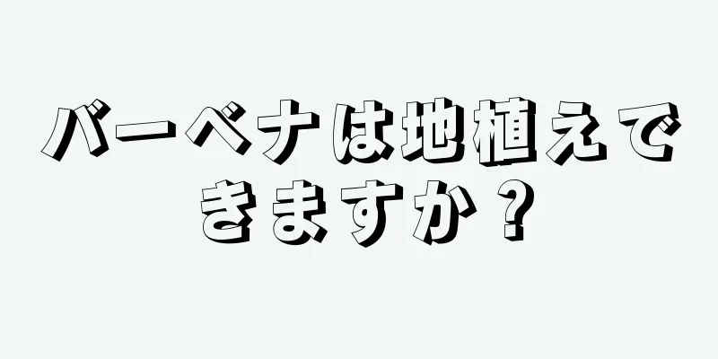 バーベナは地植えできますか？