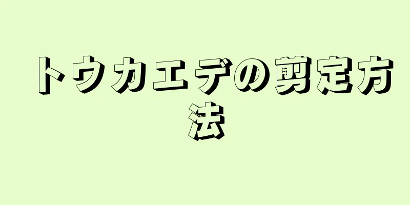 トウカエデの剪定方法