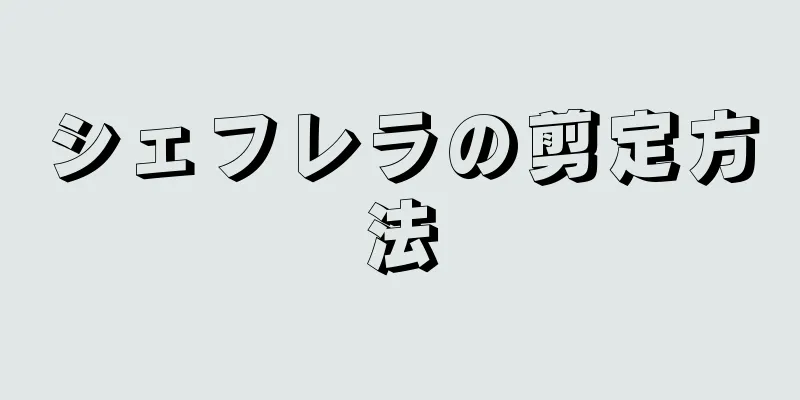 シェフレラの剪定方法
