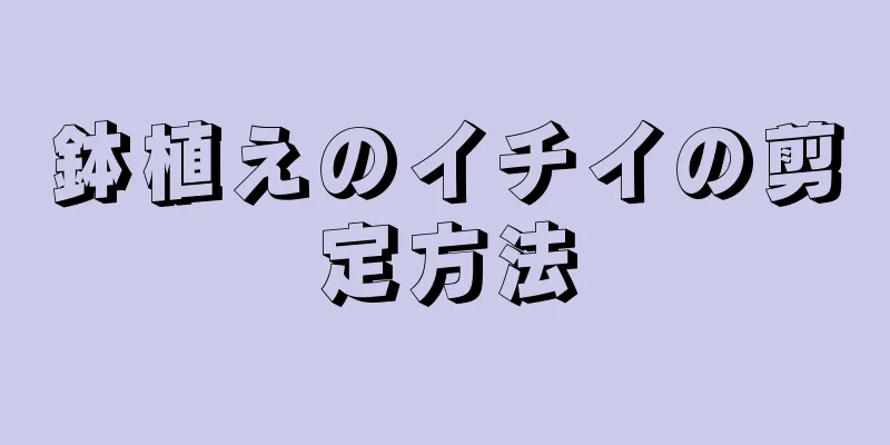 鉢植えのイチイの剪定方法