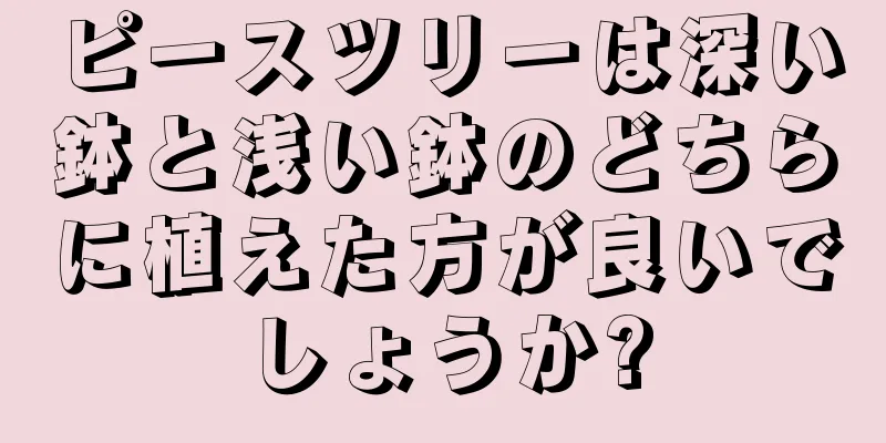 ピースツリーは深い鉢と浅い鉢のどちらに植えた方が良いでしょうか?
