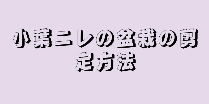 小葉ニレの盆栽の剪定方法