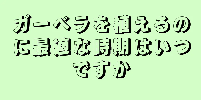ガーベラを植えるのに最適な時期はいつですか