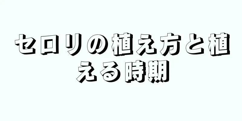 セロリの植え方と植える時期