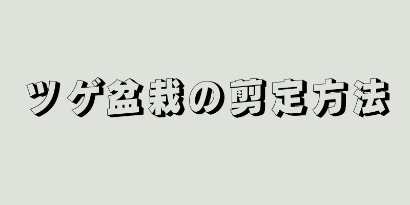 ツゲ盆栽の剪定方法