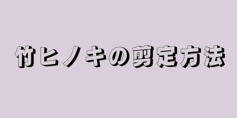 竹ヒノキの剪定方法