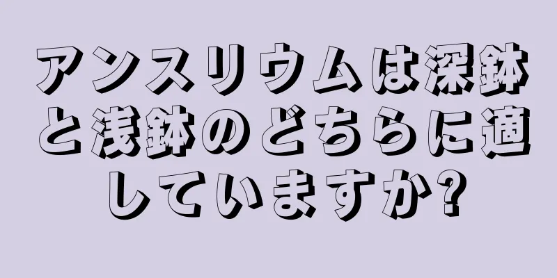アンスリウムは深鉢と浅鉢のどちらに適していますか?