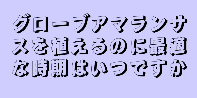 グローブアマランサスを植えるのに最適な時期はいつですか